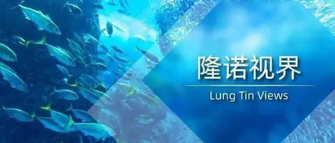 隆诺视界 | 从司法实证视角探析被诉侵权技术方案难以直接查明时的证据组织策略及具体实施路径